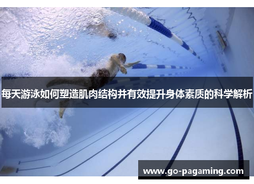 每天游泳如何塑造肌肉结构并有效提升身体素质的科学解析