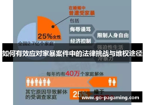 如何有效应对家暴案件中的法律挑战与维权途径