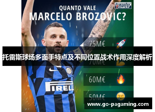 托雷斯球场多面手特点及不同位置战术作用深度解析 托雷斯球场多面手特点及不同位置战术作用深度解析