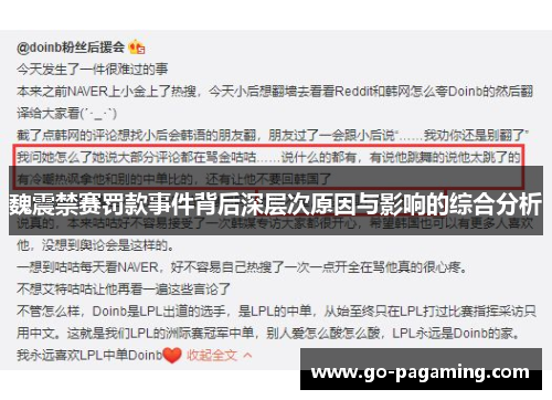 魏震禁赛罚款事件背后深层次原因与影响的综合分析