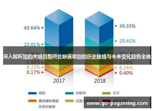 深入解析加的夫城目前所处联赛级别的历史脉络与未来变化趋势全貌