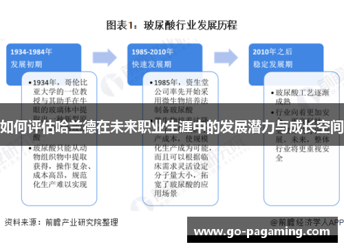 如何评估哈兰德在未来职业生涯中的发展潜力与成长空间 如何评估哈兰德在未来职业生涯中的发展潜力与成长空间