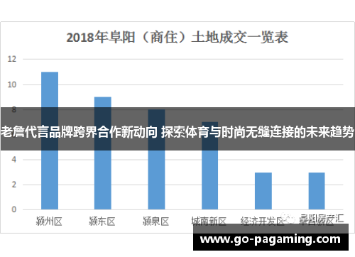 老詹代言品牌跨界合作新动向 探索体育与时尚无缝连接的未来趋势