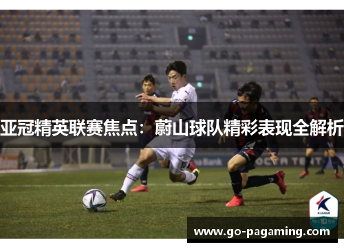 亚冠精英联赛焦点：蔚山球队精彩表现全解析