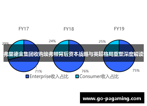 弗里德金集团收购埃弗顿背后资本战略与英超格局重塑深度解读 弗里德金集团收购埃弗顿背后资本战略与英超格局重塑深度解读