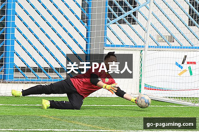 关于PA真人
